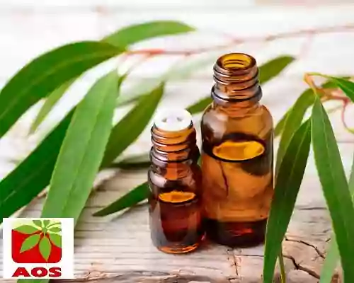 History of Eucalyptus Oil