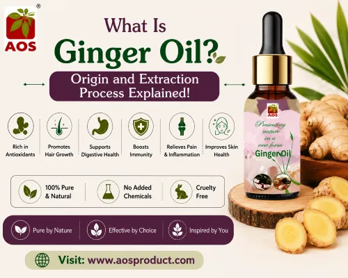 What is Ginger Oil