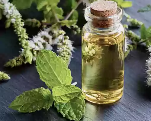 10 Uses for Peppermint Oil