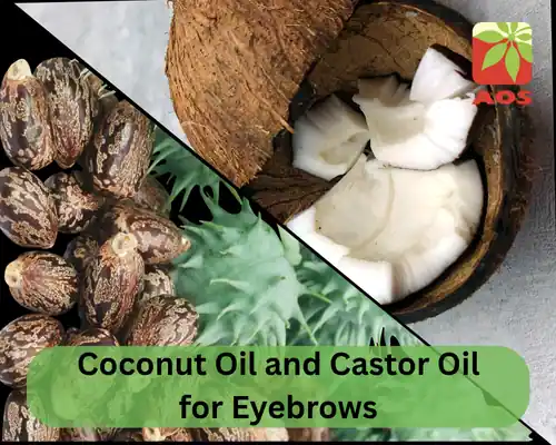 Coconut Oil and Castor Oil for Eyebrows