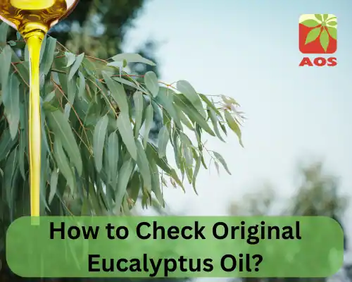 How to Check Original Eucalyptus Oil
