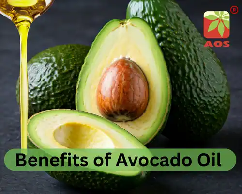 Benefits of Avocado Oil