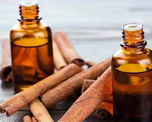 What is Cinnamon Oil