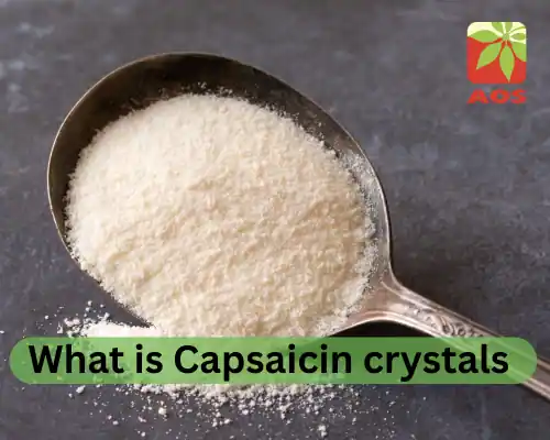 Capsaicin crystals