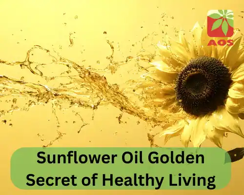Sunflower Oil Golden Secret of Healthy Living
