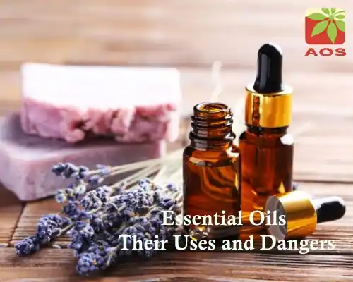 Essential Oils Their Uses and Dangers