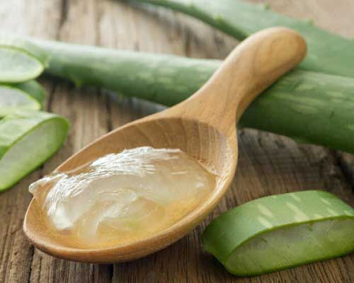 Aloe Vera Products Know more Uses and Benefits - AOS Blog
