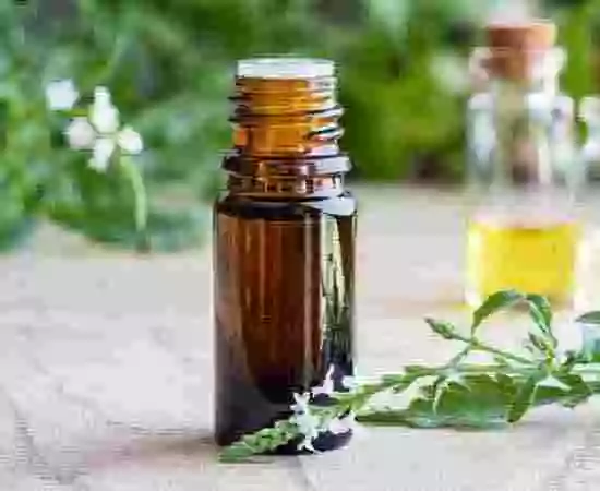 Spearmint Oil IP Manufacturer & Exporter - AOS Products