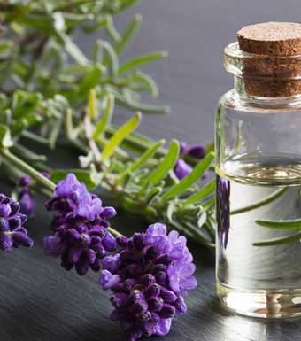 ESSENTIAL OILS ESSENTIAL OILS
