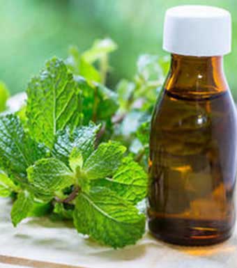 MENTHOL AND MINT OILS