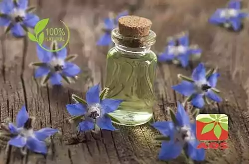 Borage Oil