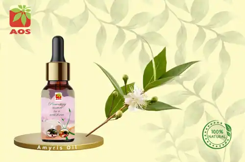 Amyris Oil