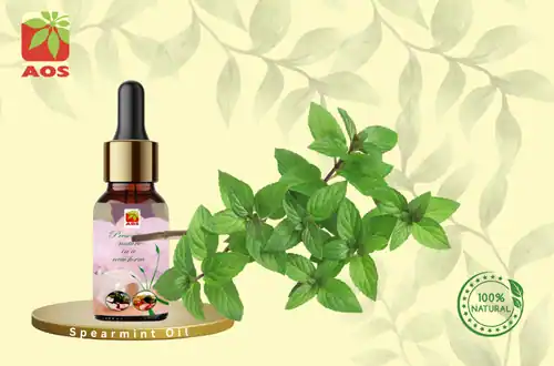 Spearmint Oil