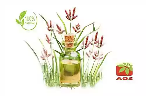 Cinnamon Bark Oil Manufacturers India - AOS Products