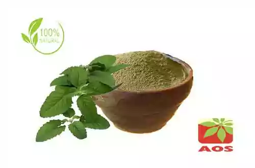 Tulsi Extract