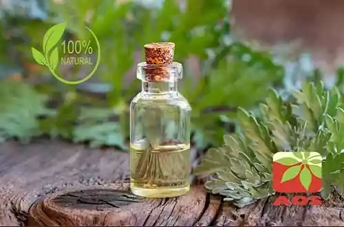 Artemisia Oil