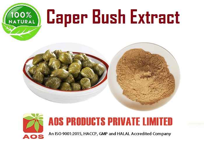 Caper Bush Extract Uses, Benefits and Properties