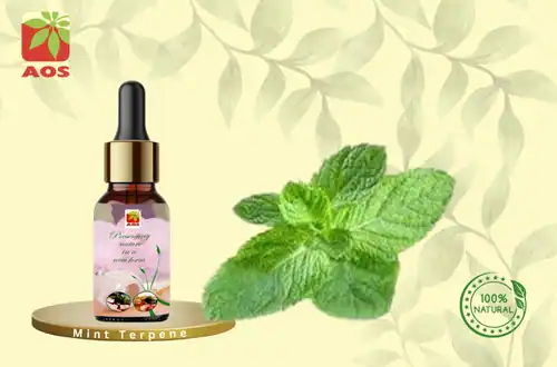 Mint Terpene
