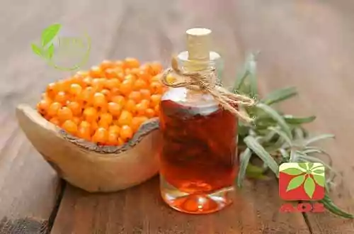 Sea Buckthorn Oil