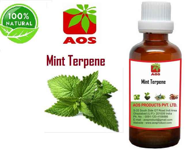 Mint Terpene, 3 Benefits Reputed Manufacturers, Exporters