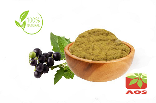 Black Nightshade Extract