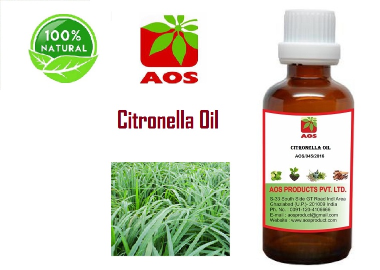 10 Uses, Benefits of Citronella Oil for Insect Repellent AOS Products