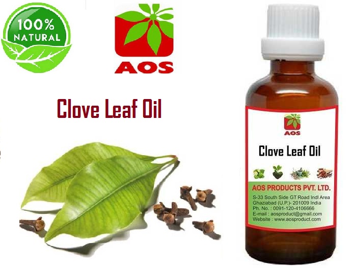 8 Types Uses of Clove Leaf Oil, Benefits in Scents, dandruff Best Price