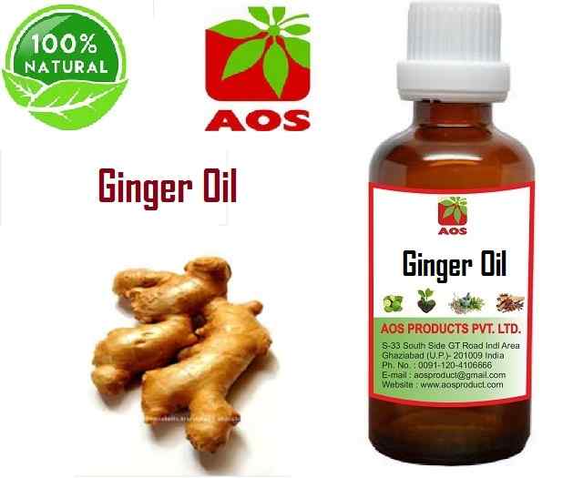 14 Amazing Benefits, Uses of Ginger Oil in Vomiting Wholesale Price