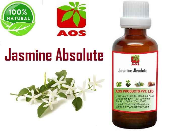 9 Proven Uses, Benefits Jasmine Absolute for Scents Whoelsale Price