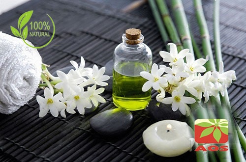 Tuberose Absolute Uses and Benefits AOS Products