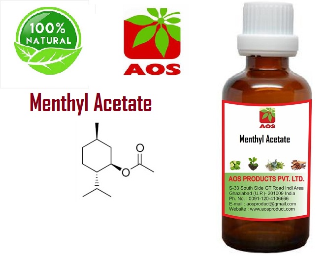 Menthol and Mint Oils Uses and Benefits Unique Quality, Factory Price