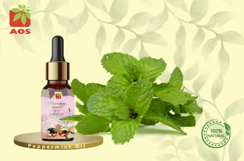 Peppermint Oil