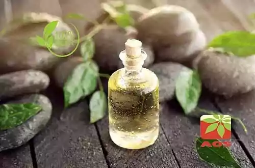 Tea Tree Oil