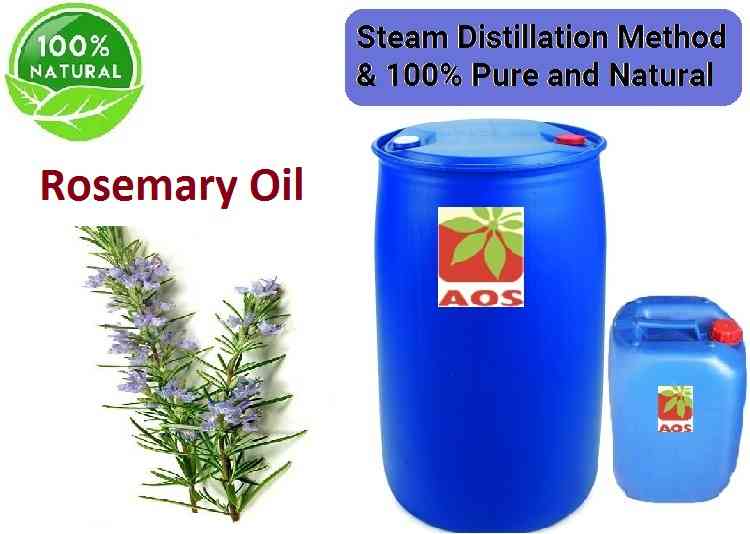 Rosemary Oil Use Benefits Extraction Method Of Rosemary Oil