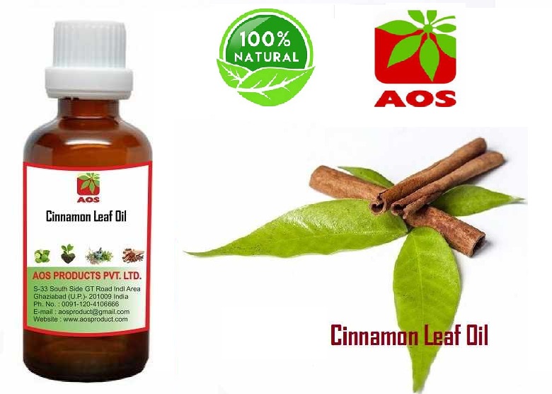 15 Unique Uses and benefits of Cinnamon Leaf Oil in Scents and Soap