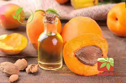 Peach Kernel Oil