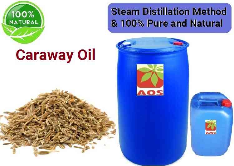 Caraway Oil Uses, Benefits and Properties Caraway oil USP