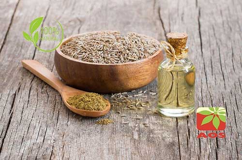 Caraway Oil