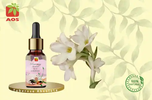 Tuberose Absolute