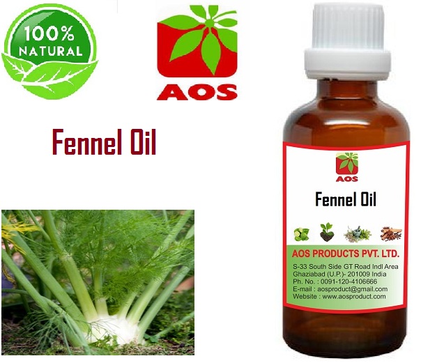 10 Uses Fennel Essential Oil, Best Benefits for Babies Wholesale price