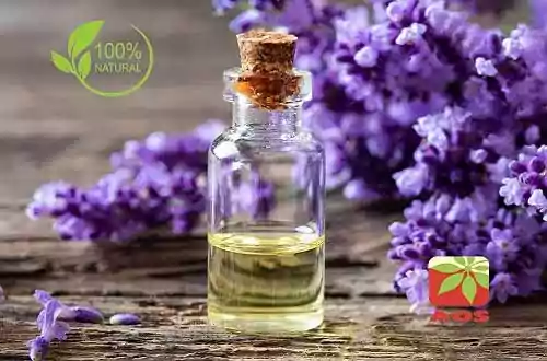 Lavender Oil