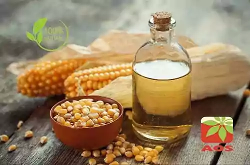 Corn Oil