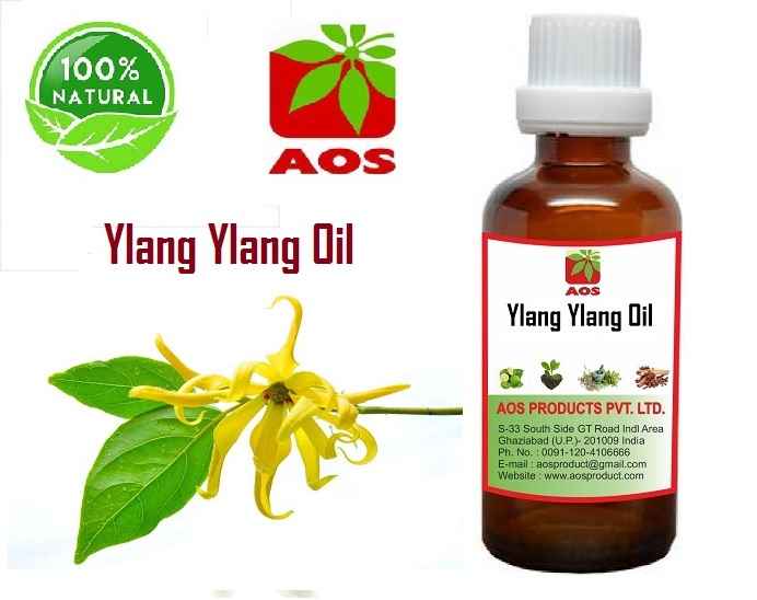 12 Common Uses and Benefits of Ylang Ylang Oil AOS Products