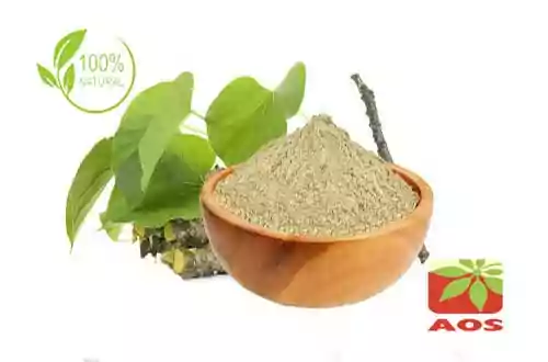 Tinospora Cordifolia Extract