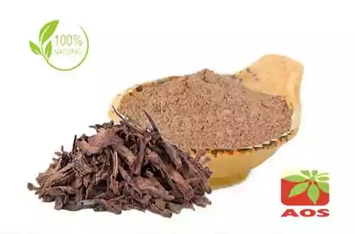 Ashoka Bark Extract