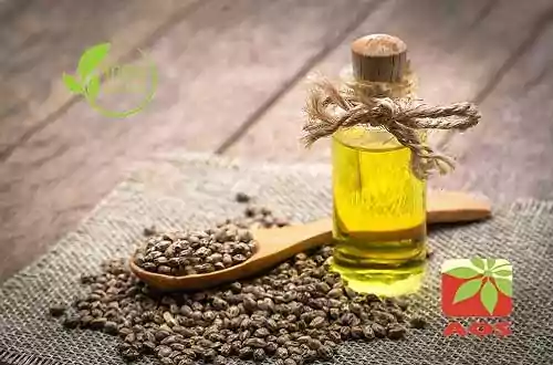 Hemp Seed Oil