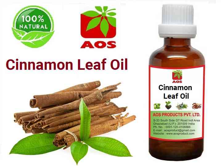 15 Uses, benefits of Cinnamon Leaf Oil Premiur Manufacturers