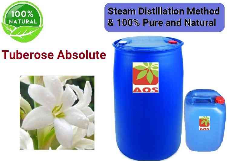 Tuberose AbsoluteUses,Benefit,PropertiesTuberose Absolute