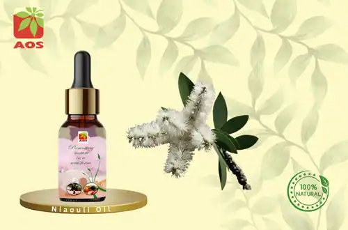 Niaouli Oil
