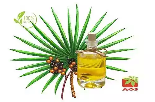 Saw Palmetto Oil